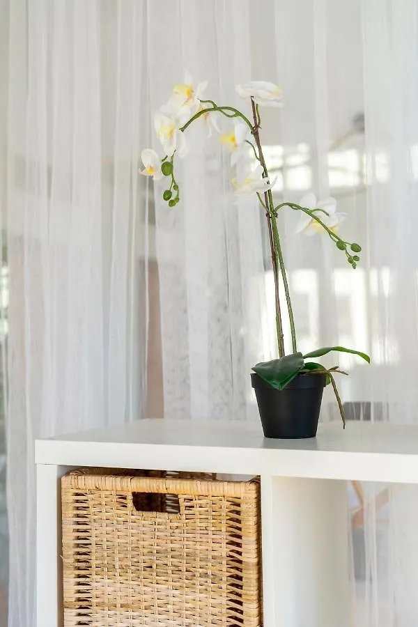 Espectacular Loft En Centrico Edificio Singular Apartment Manresa Spain